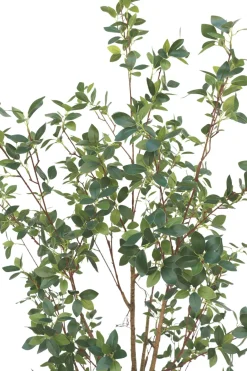 PrettyPlants Kunstplant Ficus 180cm
