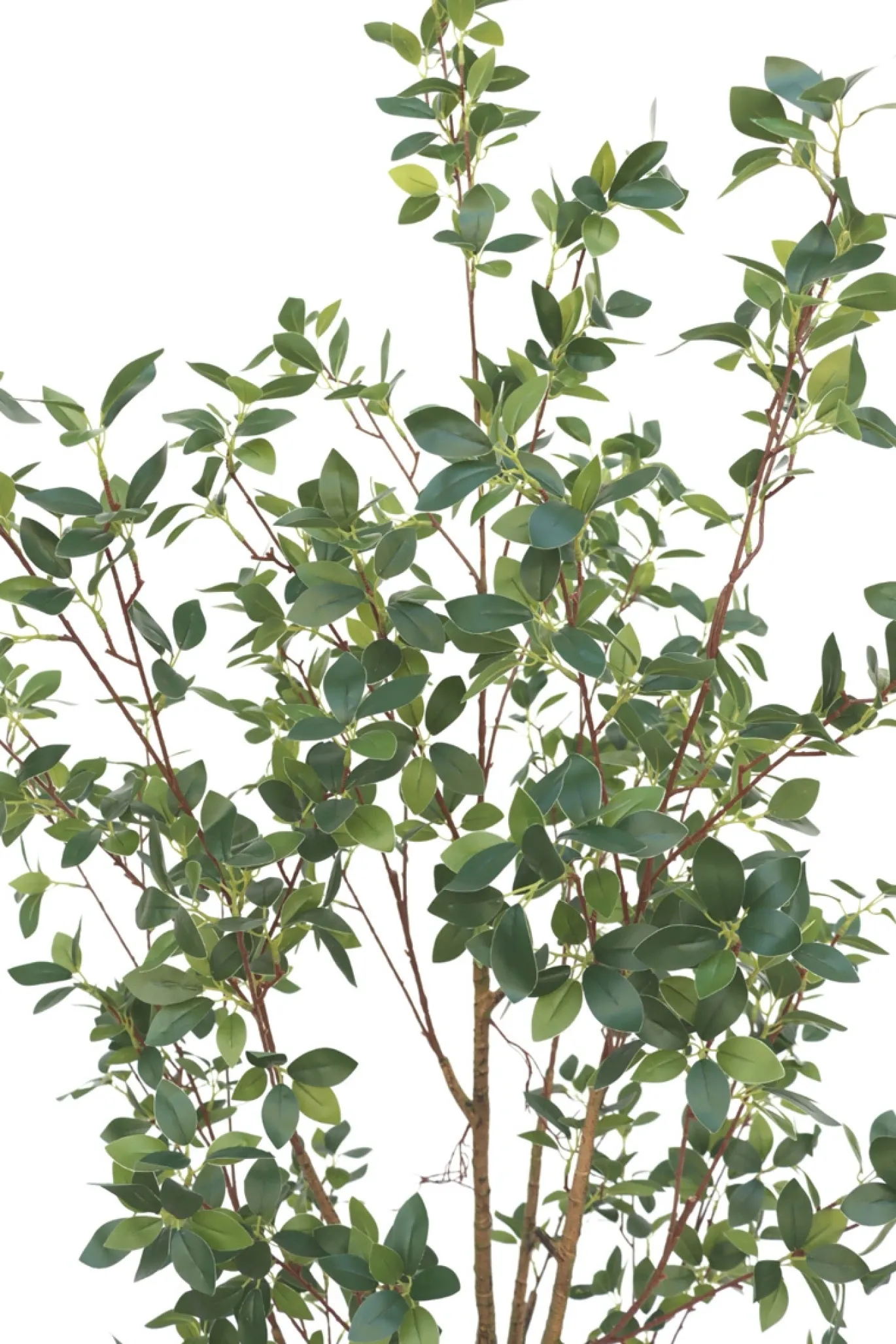 PrettyPlants Kunstplant Ficus 180cm