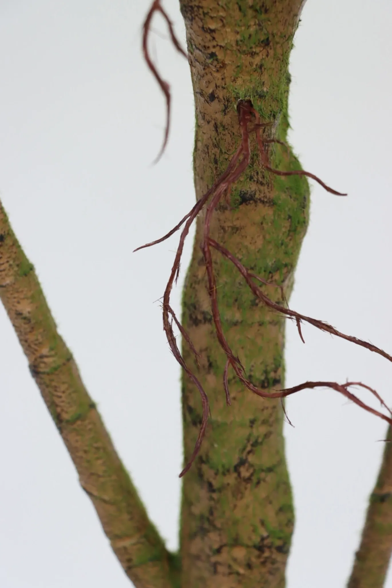 PrettyPlants Kunstplant Ficus 180cm