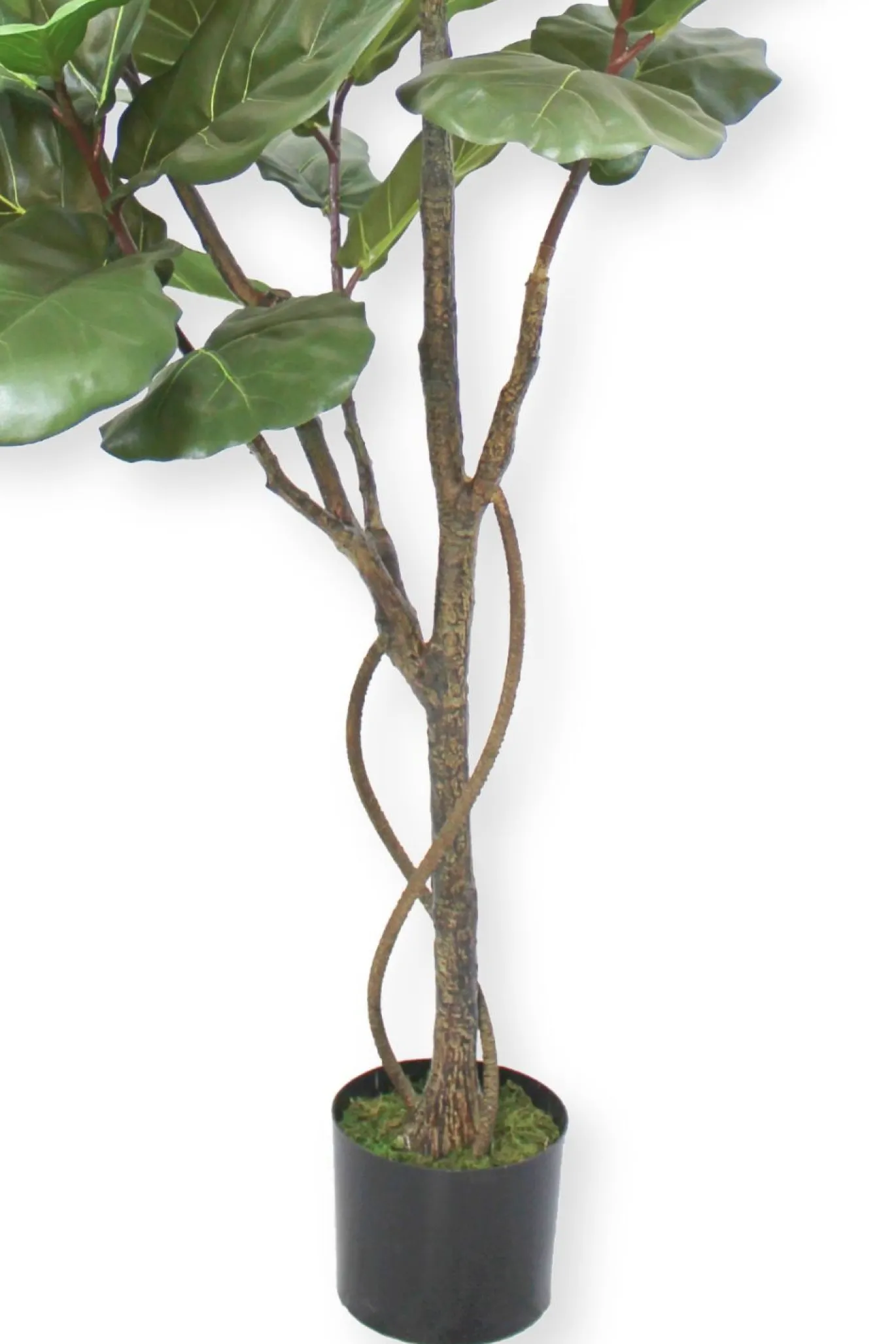 PrettyPlants Kunstplant Ficus Lyrata 180cm