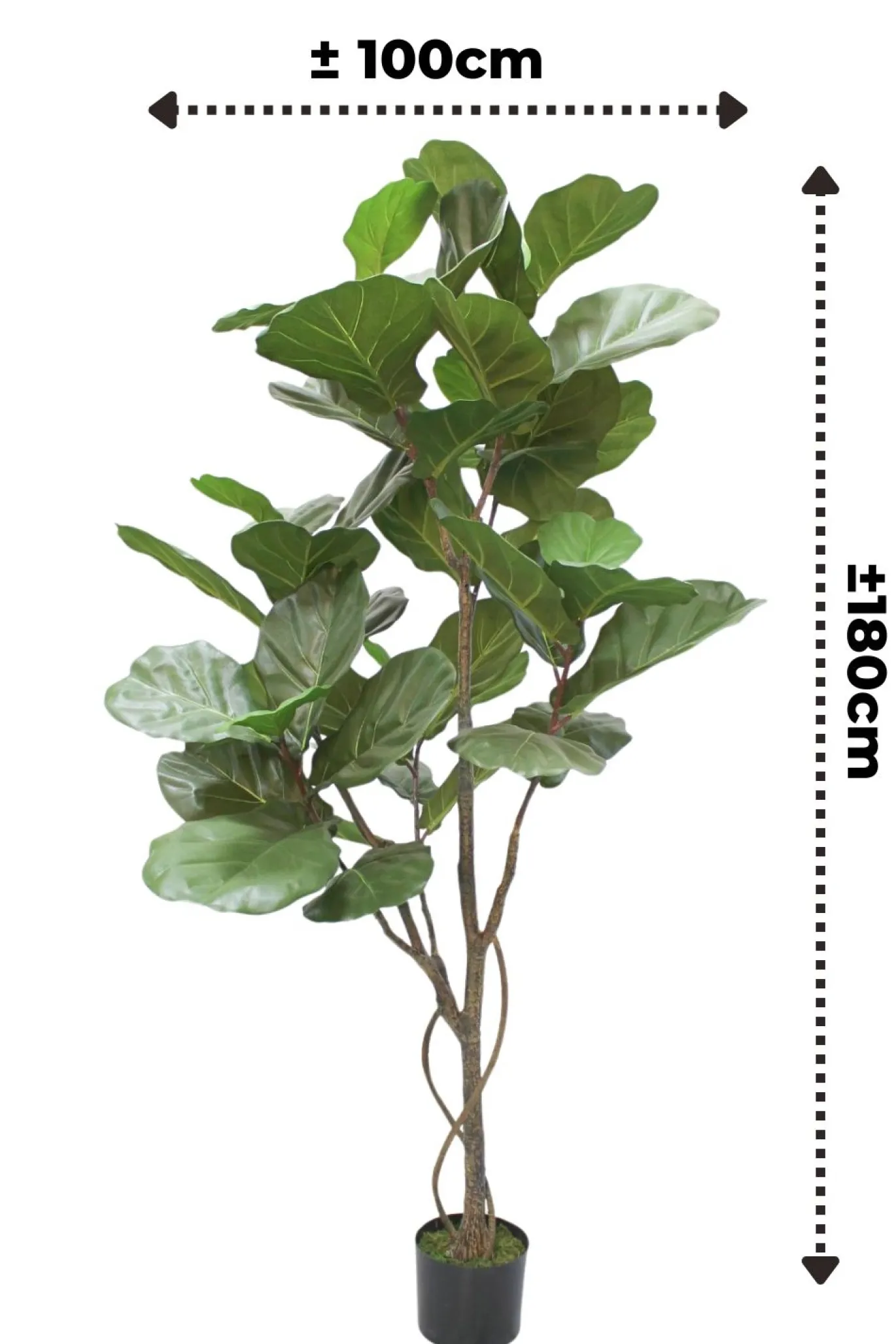 PrettyPlants Kunstplant Ficus Lyrata 180cm