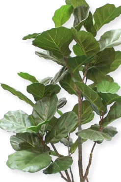 PrettyPlants Kunstplant Ficus Lyrata 180cm