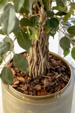 PrettyPlants Kunstplant Ficus Liana 180cm