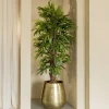 PrettyPlants Kunstplant Longifolia 180cm