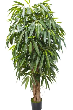 PrettyPlants Kunstplant Longifolia 180cm