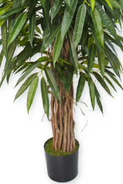PrettyPlants Kunstplant Longifolia 180cm