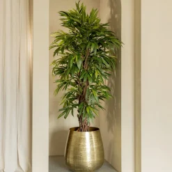 PrettyPlants Kunstplant Longifolia 180cm