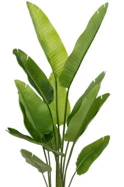 PrettyPlants Kunstplant Strelitzia Maikel 160cm