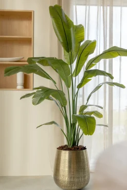 PrettyPlants Kunstplant Strelitzia Joyce 180cm