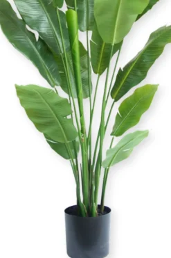 PrettyPlants Kunstplant Strelitzia Joyce 180cm