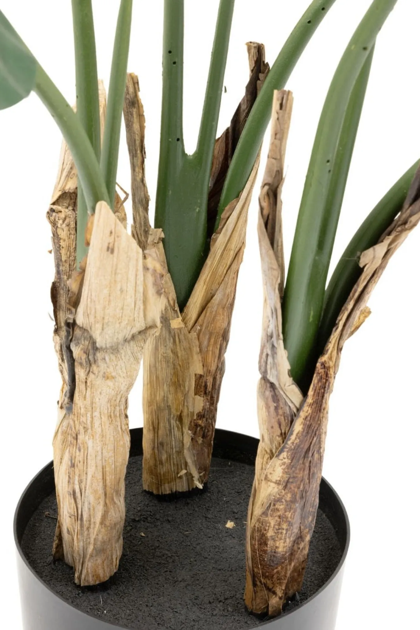 PrettyPlants Kunstplant Strelitzia Mitchel 120cm