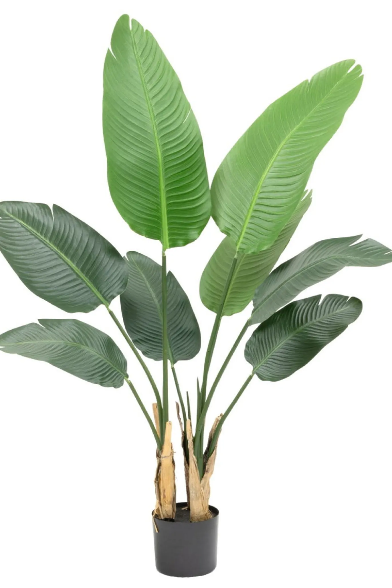 PrettyPlants Kunstplant Strelitzia Mitchel 120cm