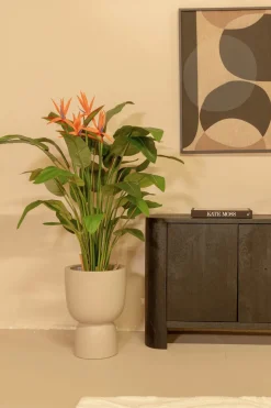 PrettyPlants Kunstplant Strelitzia met Bloem 120cm