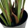 PrettyPlants Monstera Kunstplant Misty 165cm