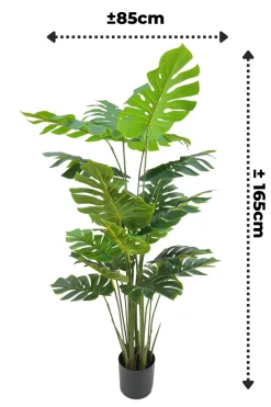 PrettyPlants Monstera Kunstplant Misty 165cm