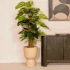 PrettyPlants Monstera Kunstplant Brock 120cm