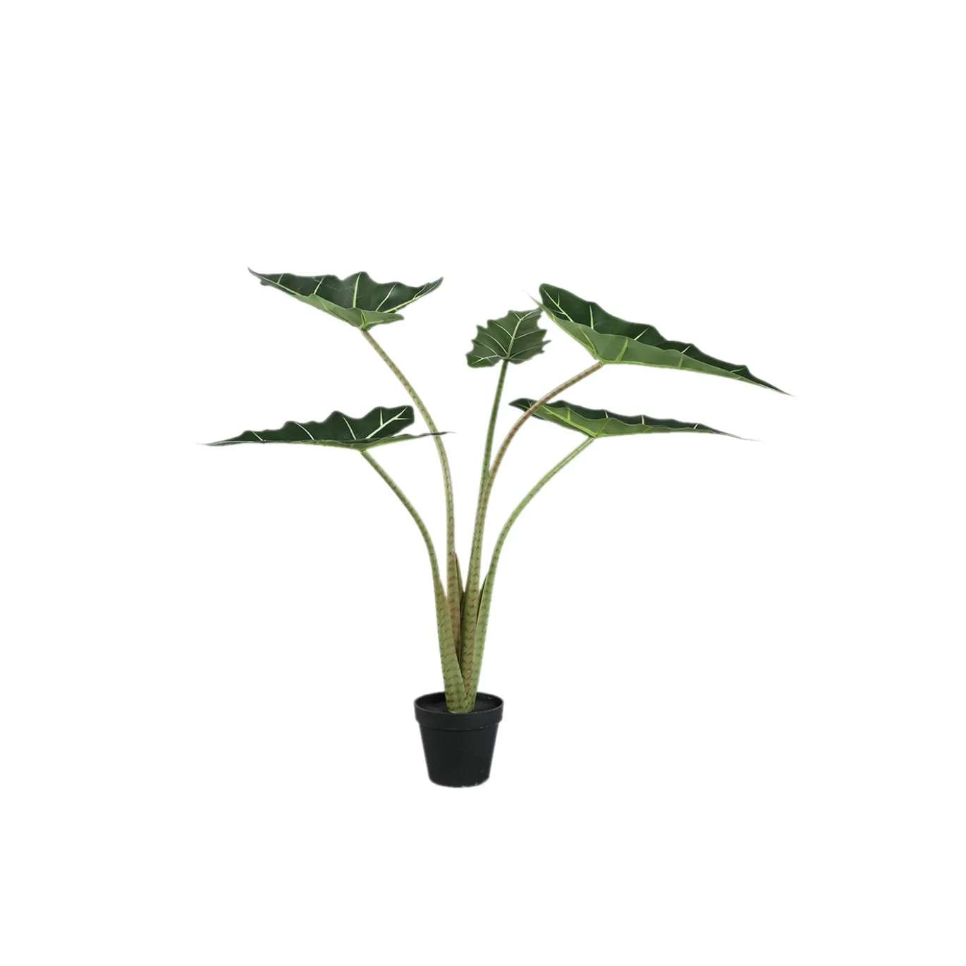 PTMD Kunstplant Alocasia S