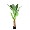PTMD Kunstplant Banana Tree Real Touch S