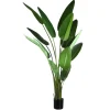 PTMD Kunstplant Strelitzia Real Touch XL