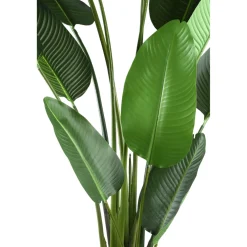 PTMD Kunstplant Strelitzia Real Touch XL