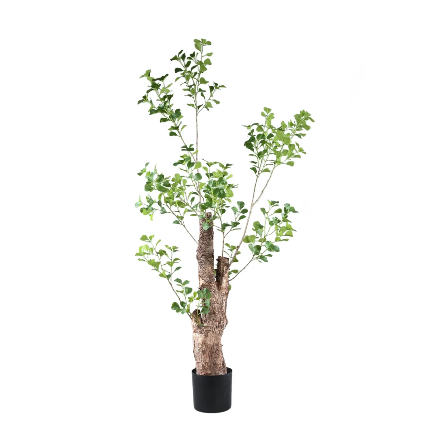 PTMD Kunstplant Triangularis 180cm
