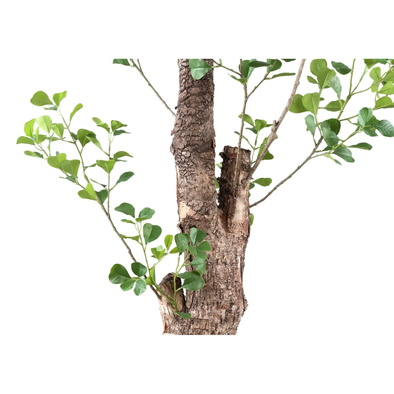 PTMD Kunstplant Triangularis 180cm