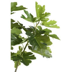 PTMD Kunstplant Vijgenboom L
