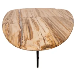 PTMD Salontafel Deeba Versteend Hout 130cm