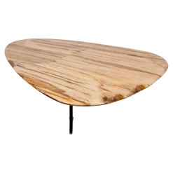 PTMD Salontafel Deeba Versteend Hout 130cm