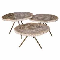 PTMD Salontafel New Khine Versteend Hout Brass Set van 3