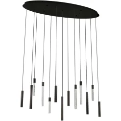 Richmond Hanglamp Oxley Zwart 13-Lichts