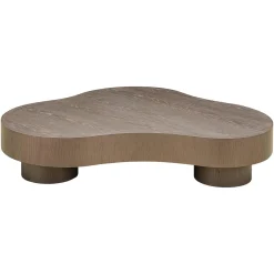 Richmond Salontafel Bogor Bruin Set van 2