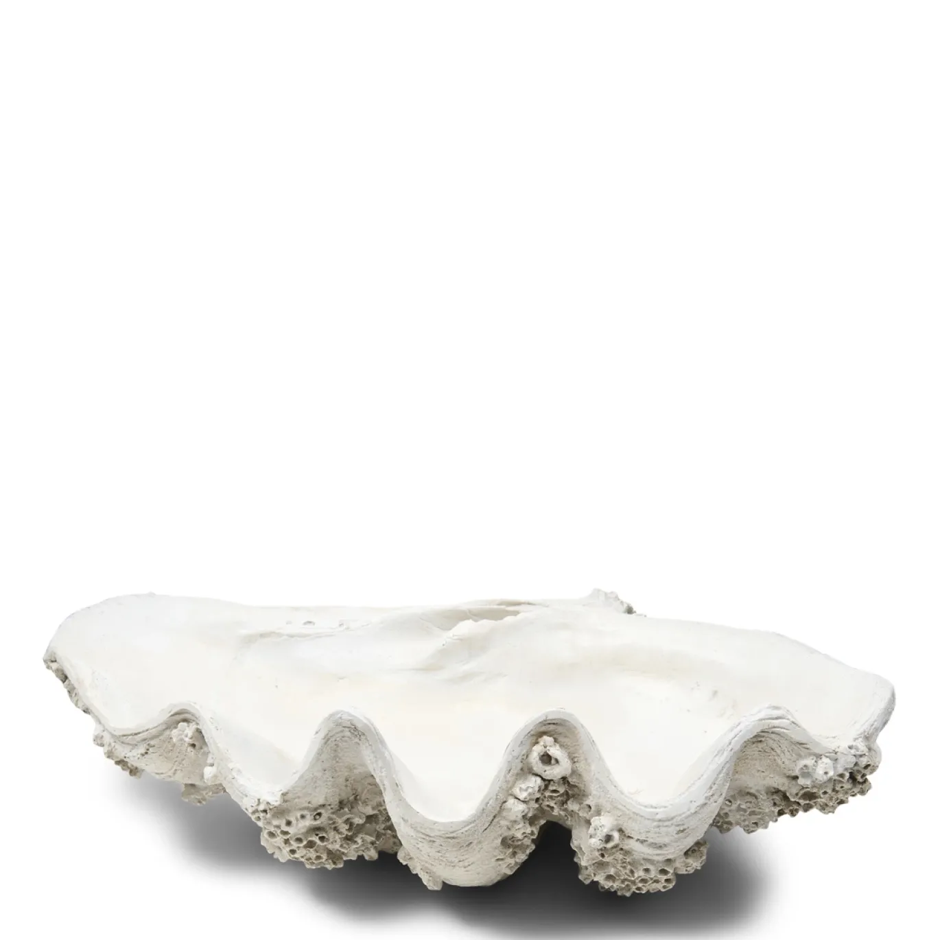 Rivièra Maison Decoratie Shell Oceanis XL
