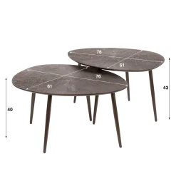 Salontafel Brown Ray Metal Organisch Set van 2 - Giga Meubel