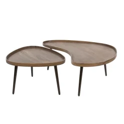 Salontafel Carve Organisch Set Van 2 Massief Acacia Bruin - Giga Meubel