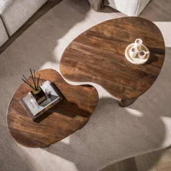 Salontafel Central Acaciahout Bruin Set van 2 - Giga Meubel