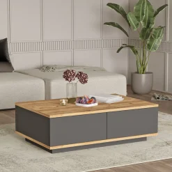 Salontafel Filizoren Antraciet/Naturel