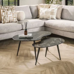 Salontafel Fossil Niervormig Zwart Set van 2 - Giga Meubel