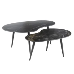 Salontafel Fossil Niervormig Zwart Set van 2 - Giga Meubel