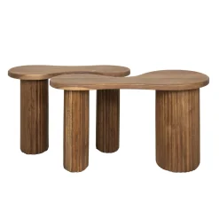 Salontafel Fuse Acaciahout Set van 2 - Giga Meubel