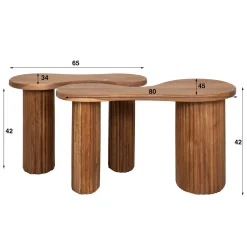 Salontafel Fuse Acaciahout Set van 2 - Giga Meubel