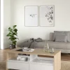 Salontafel Next Jackson Hickory Wit Hoogglans - Giga Living