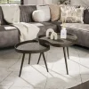 Salontafel Niervormig Set Van 2 Brons Liquid Metal - Giga Meubel