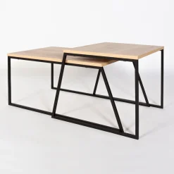 Salontafel Pal Naturel Set van 2