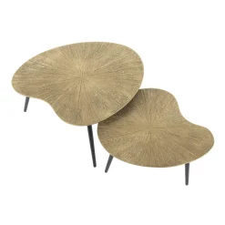 Salontafel Ray Metal Niervormig Brons Set van 2 - Giga Meubel