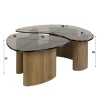 Salontafel Tinto Organisch Set van 2 Brons Glas - Giga Meubel