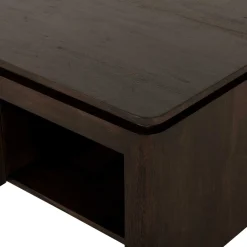 StarFurn Salontafel Dallas Bruin Mangohout 80cm