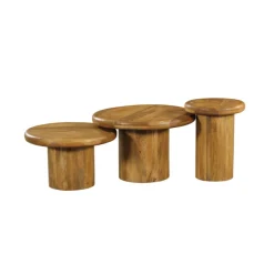 StarFurn Salontafel Maya Set van 3 Naturel Mangohout