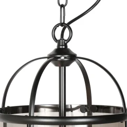 Steinhauer Hanglamp Pimpernel 2-Lichts Zwart