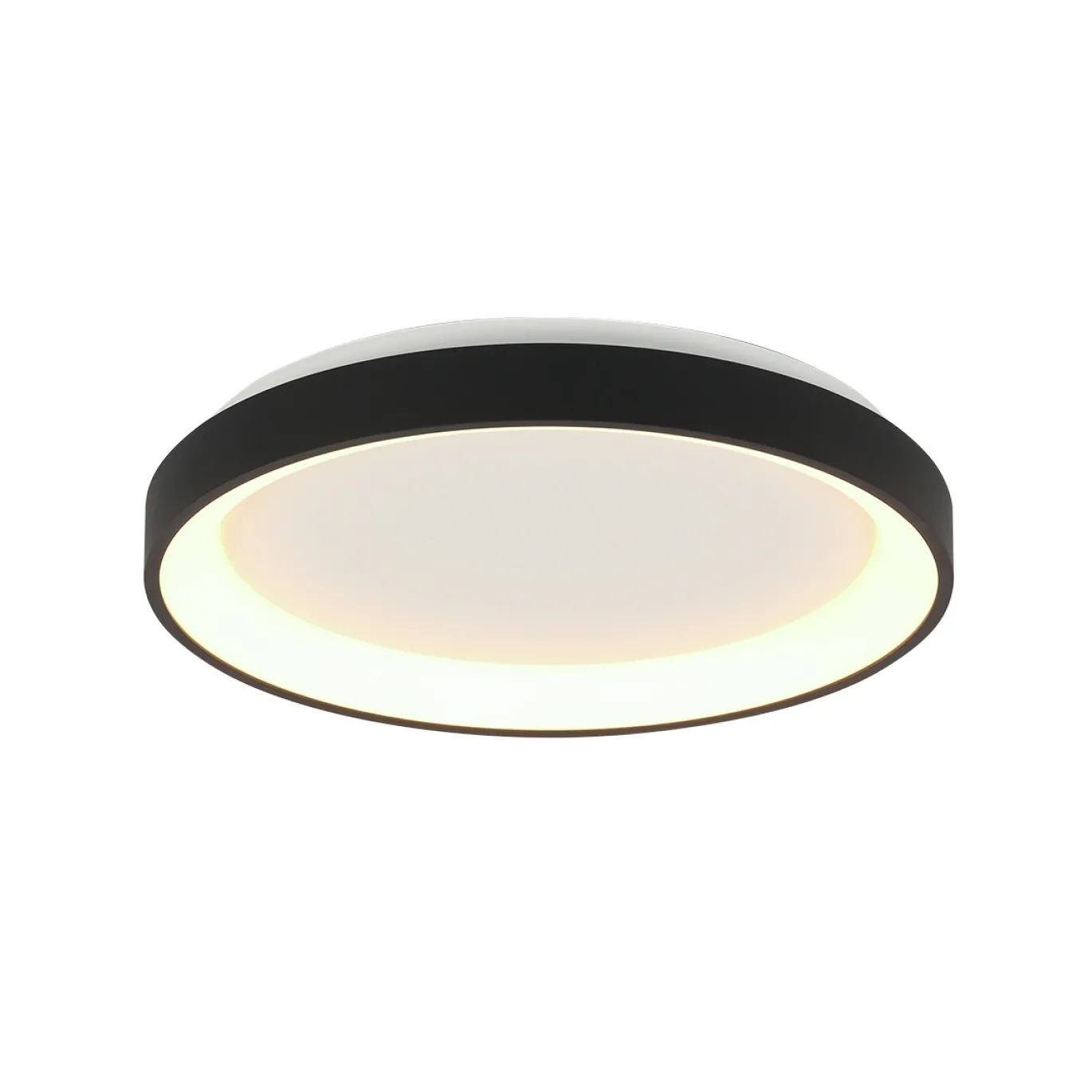 Steinhauer Plafondlamp Ringlede Dun Zwart Ø28cm